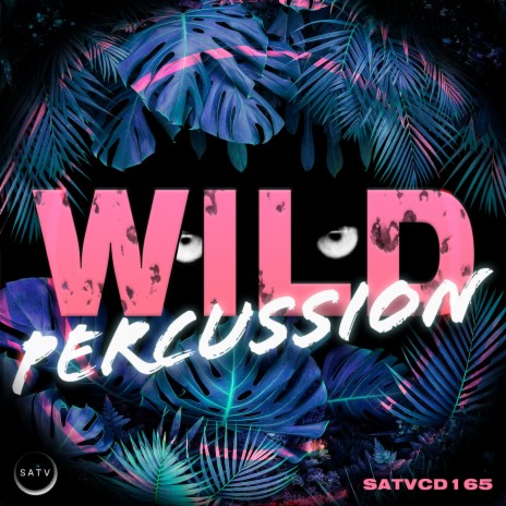 Wild March | Boomplay Music