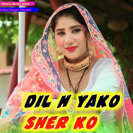 Dil H Yako Sher Ko | Boomplay Music