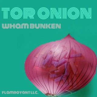 Tor Onion