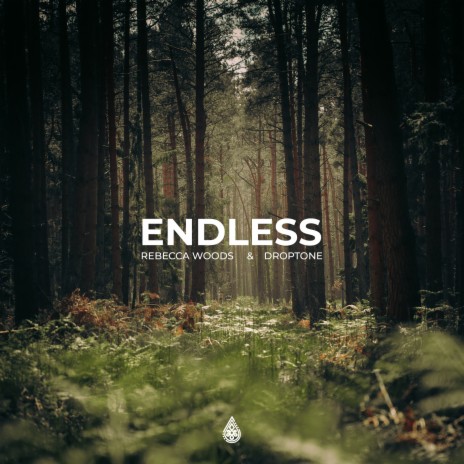 Endless ft. Droptone | Boomplay Music