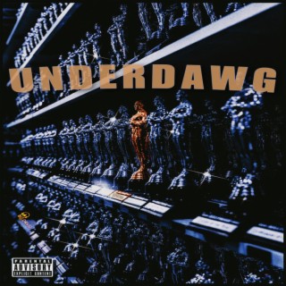 UNDERDAWG