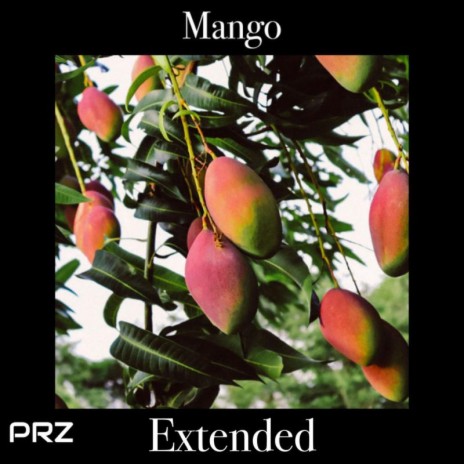 Mango Time (Extended) | Boomplay Music