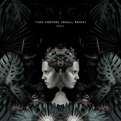 Take Control (Remix) | Boomplay Music