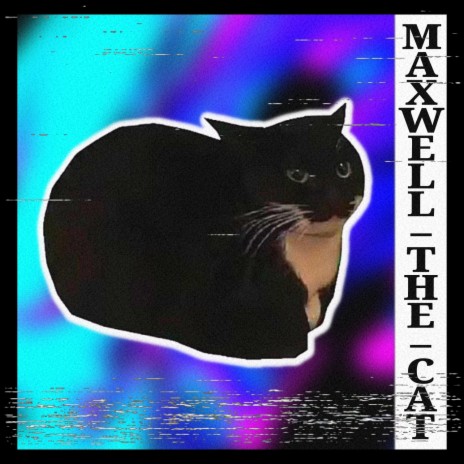 MAXWELL THE CAT PHONK