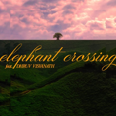 Elephant Crossing~ (A Late Afternoon Special) ft. Dhruv Visvanath