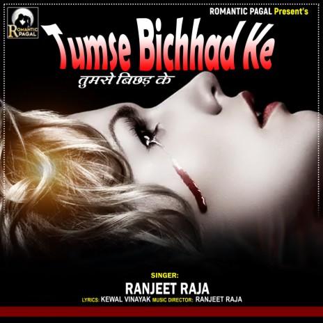 Tumse Bichhad Ke | Boomplay Music