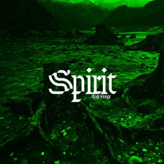 Spirit