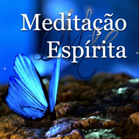 O Evangelho Segundo o Espiritismo - Música para Meditar | Boomplay Music