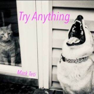 Try Anything