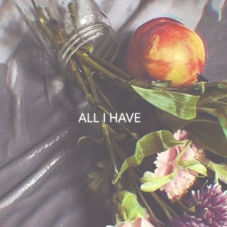 All I Have lyrics | Boomplay Music