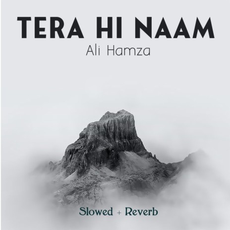 Tera Hi Naam Lofi | Boomplay Music