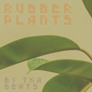 Rubber Plants