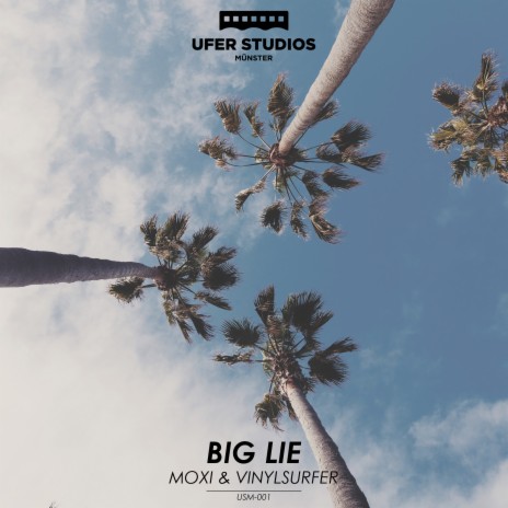 Big Lie (MOXI Remix) ft. Vinylsurfer | Boomplay Music