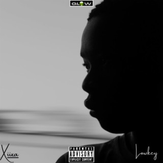 Lowkey lyrics | Boomplay Music