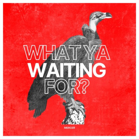 What Ya Waiting For? | Boomplay Music