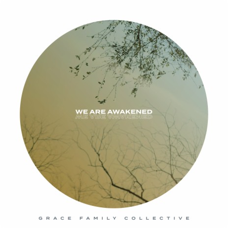 We Are Awakened ft. Andje Yassa & David Walker | Boomplay Music