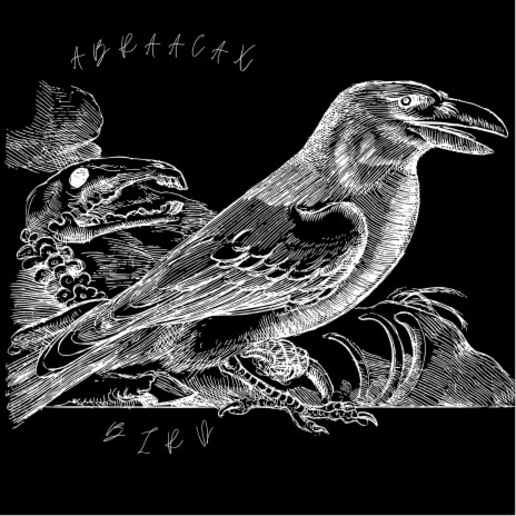 Fucking Bird | Boomplay Music