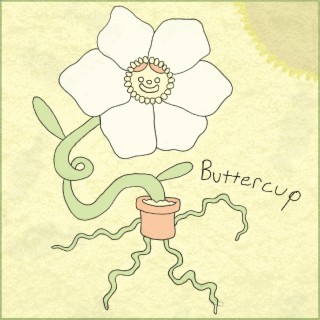 buttercup lyrics | Boomplay Music