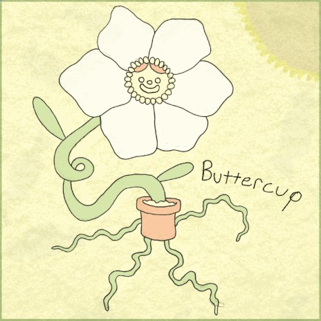 buttercup | Boomplay Music
