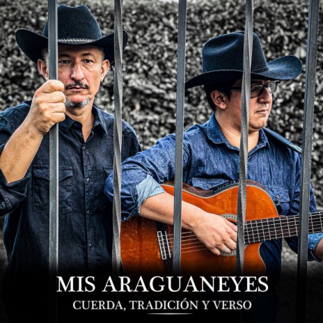 Mis Araguaneyes ft. Rodrigo Gallo | Boomplay Music