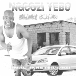 Dlala Ngayo