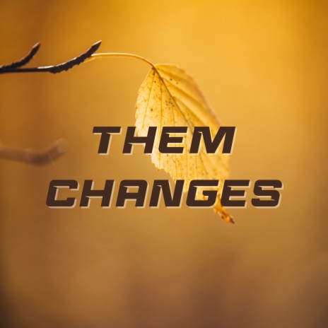 Them Changes | Boomplay Music