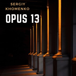 Opus 13