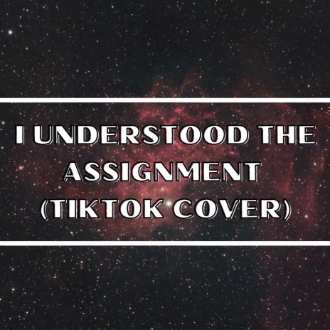 I Understood the Assigment (TikTok Cover) | Boomplay Music