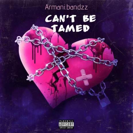 Can't Be Tamed | Boomplay Music