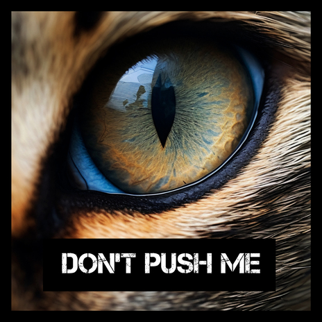 Don't Push Me | Boomplay Music