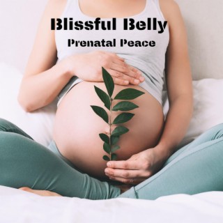 Blissful Belly: Prenatal Peace, Healing Melodies for Expecting Moms