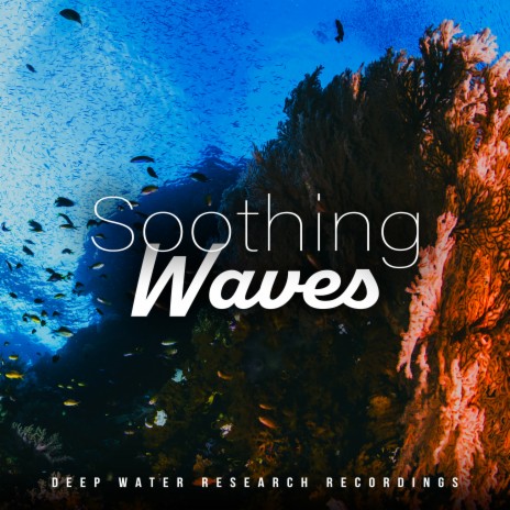 Slumber Swell | Boomplay Music