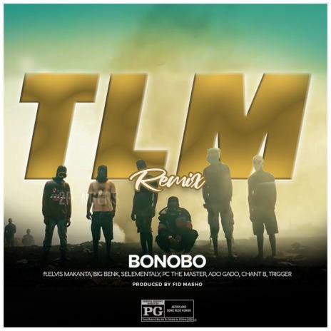 TLM Remix ft Elvis | Boomplay Music
