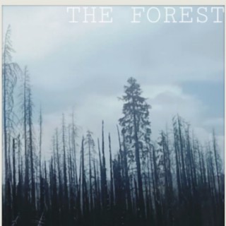 The Forest