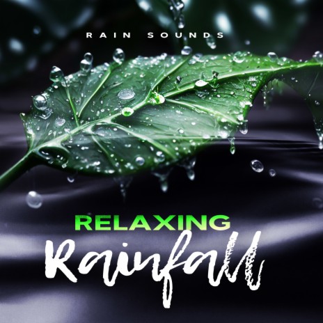 Rain You to Sleep | Boomplay Music