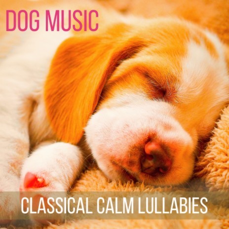 Moonlight Sonata (Pet Therapy) | Boomplay Music