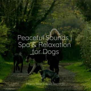 Relaxing Music for Dogs