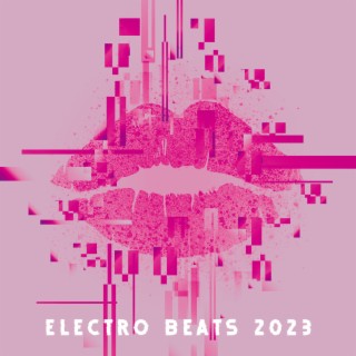 Electro Beats 2023: Chillout & Lounge Music, Home Party Night, Background for Bouncing