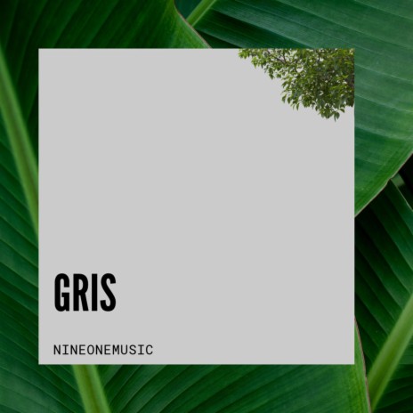 GRIS (Special Version) | Boomplay Music
