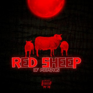 Red Sheep of Memphis