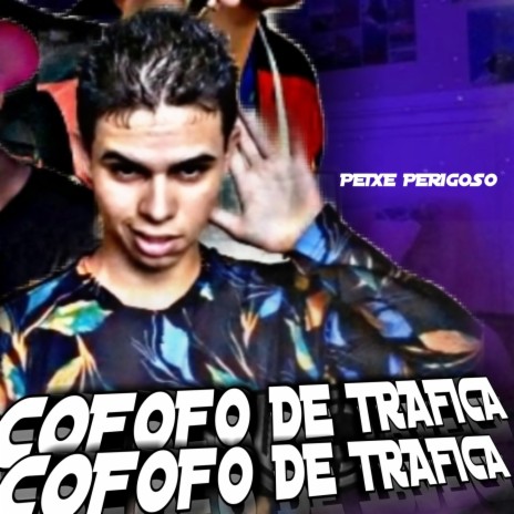 Cafofo de trafica | Boomplay Music