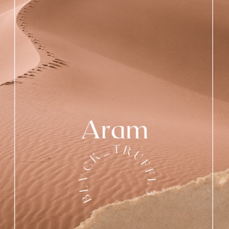 Aram | Boomplay Music