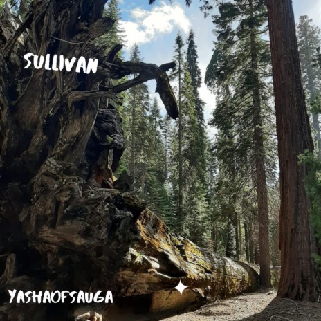 Sullivan | Boomplay Music