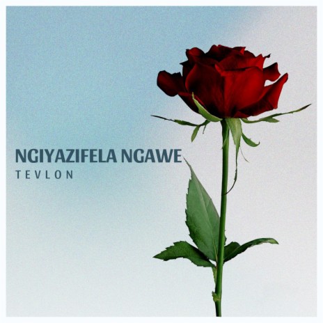 Ngiyazifela Ngawe | Boomplay Music