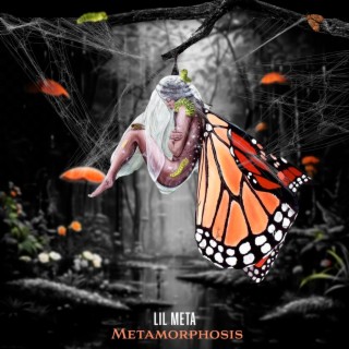 Metamorphosis