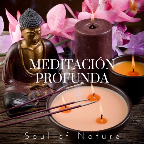Meditación Profunda ft. HiFi Nature Sound Library | Boomplay Music