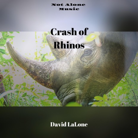 Crash of Rhinos