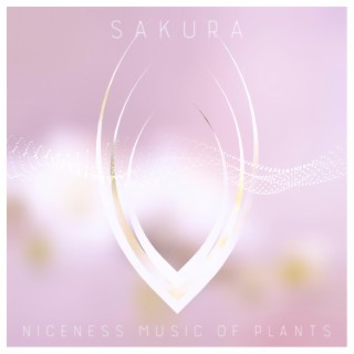 Sakura ~Niceness music of Plants~