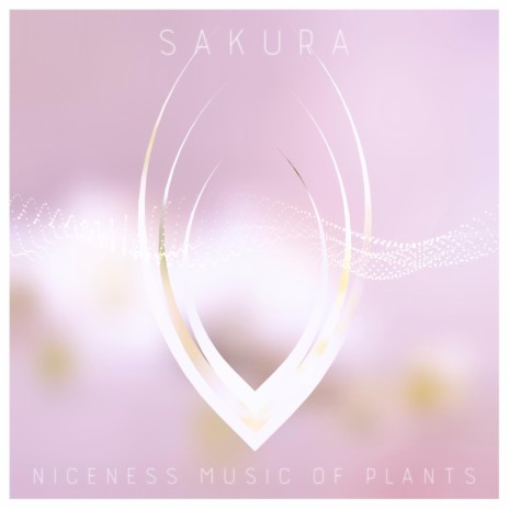 Sakura ~Niceness music of Plants~ | Boomplay Music