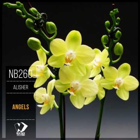 Angels (Original Mix) | Boomplay Music